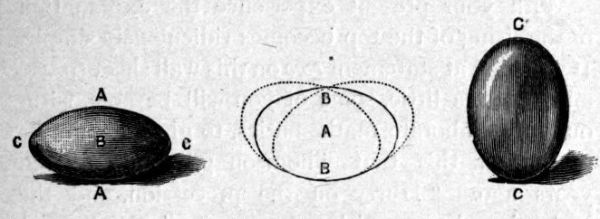 Fig. 31