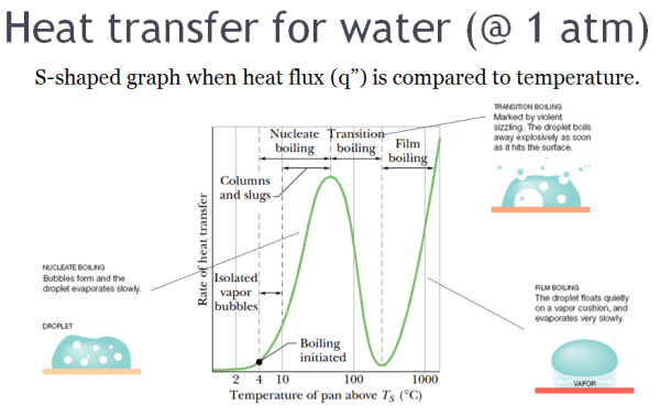 Heat transfer leading to Leidenfrost effect for water at 1 atm