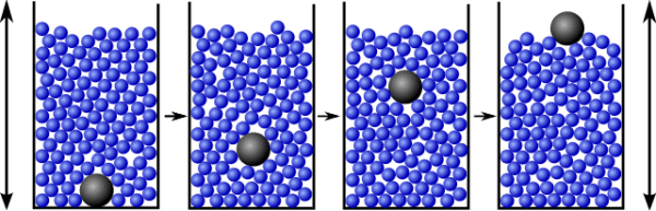 Efecte de les nous de Brasil