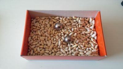 Inici arquimedes amb llegums