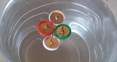 Efecte cheerios xinxetes