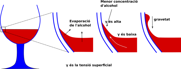 Efecto Marangoni esquema