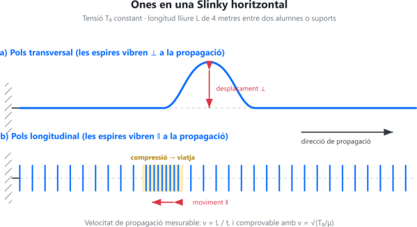 Diagrama que il·lustra les ones en un Slinky horitzontal, mostrant les ones transversals i longitudinals amb les seves respectives direccions de propagació.